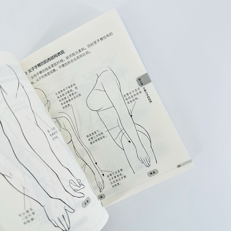 Beginner Manga Drawing Pocket  - đánh giá và giá Chinese Calligraphy Practice Book