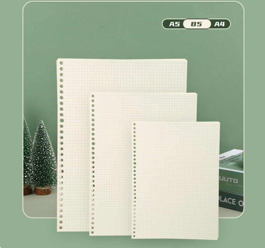 A5 B5 Line Grid 20Holes Loose- - đánh giá và giá A5 Spiral Dotted Grid Notebook