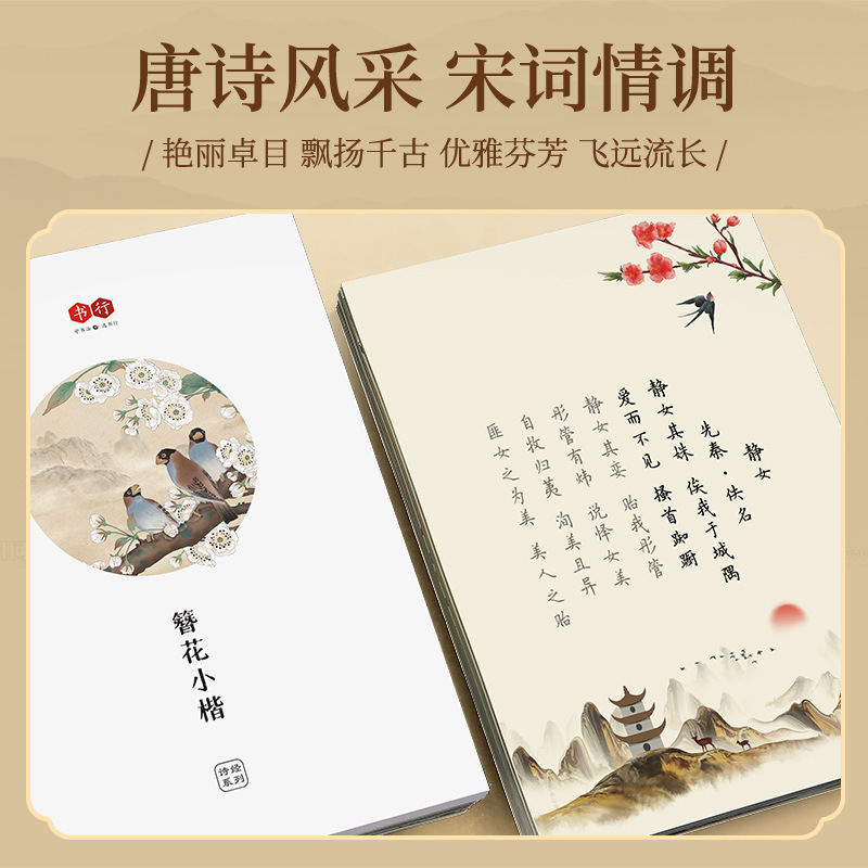 Hairpin Flower Small Kai Calli - đánh giá và giá Chinese Calligraphy Practice Book