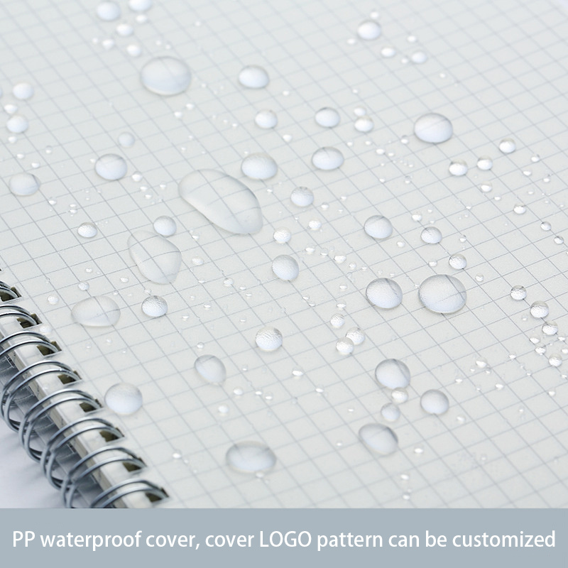 A5 A6 B5 Spiral book coil Note - đánh giá và giá A5 Spiral Dotted Grid Notebook