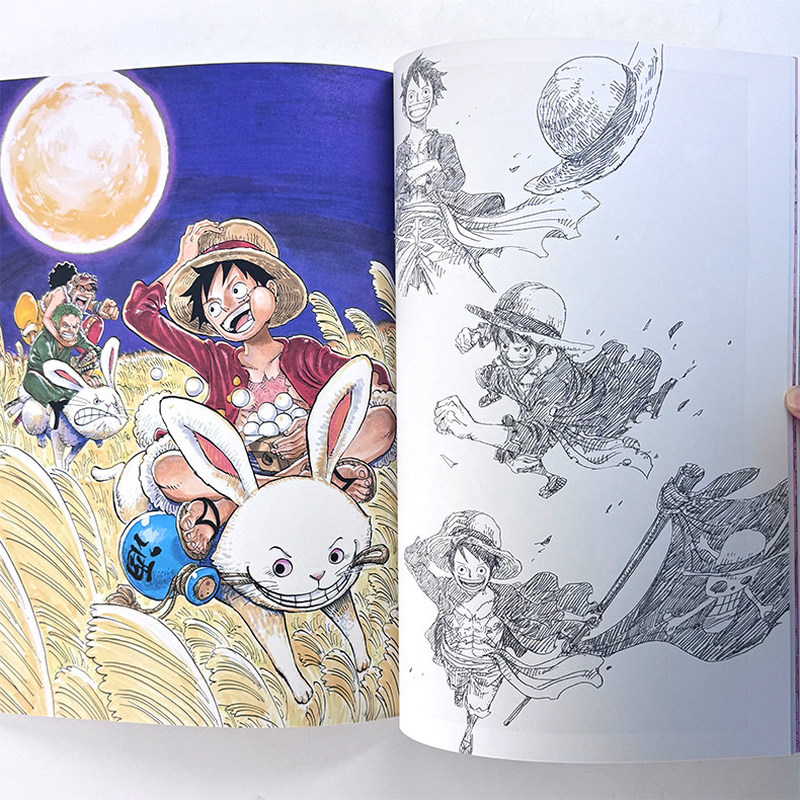 One Piece Illustration Book Co - đánh giá và giá Stationery Books