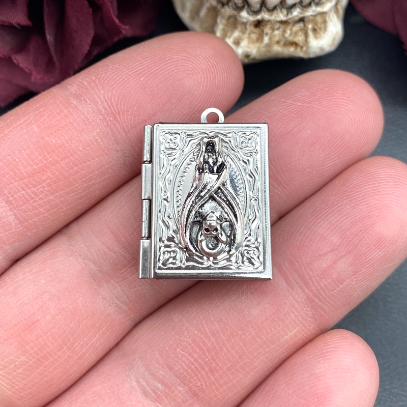 2psc Dainty Bat Book Locket Ch - đánh giá và giá Books