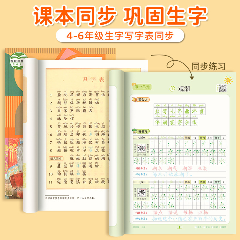 Dot Matrix Font Book, Chinese  - đánh giá và giá Chinese Calligraphy Practice Book